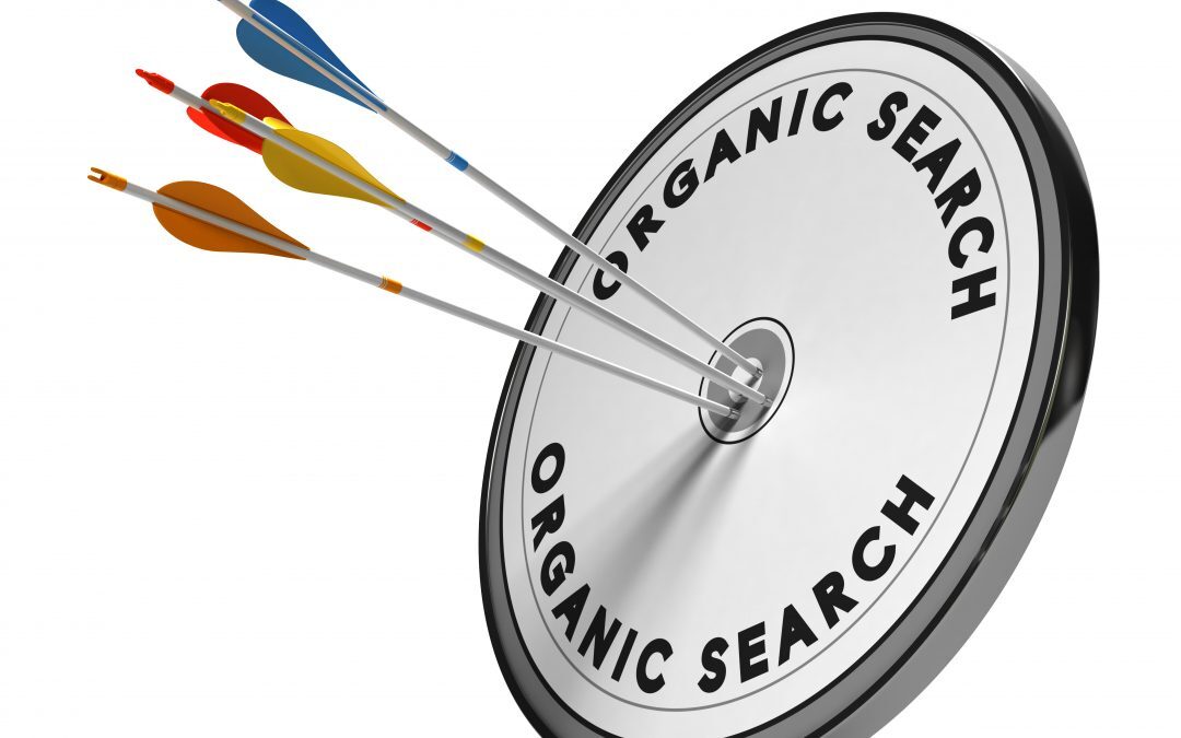 Techniques to Drive Organic Traffic | Search Engine Optimization | Digital Marketing | WordPress Websites